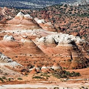 USA, Arizona, North Coyote Buttes, Vermillion Cliffs Wilderness, BLM Lands, Unique