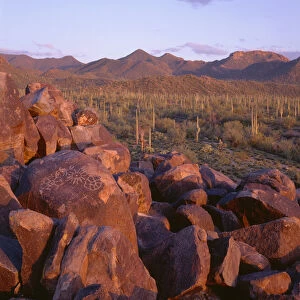 USA, Arizona, Saguaro National Park, Tucson Mountain District, Sunset light defines
