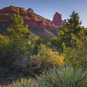 USA, Arizona, Sedona. Landscape with rock formation and cacti