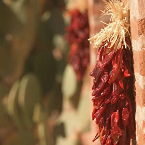 USA-ARIZONA-Tubac: South Arizonas Premier Craft Town Chili Ristra Wreath