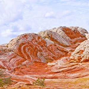 USA, Arizona, Vermilion Cliffs National Monument. White Pocket, swirling, multicolored formations of Navajo sandstone