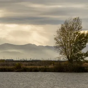 USA, California, Central Valley. San Joaquin River near Firebaugh