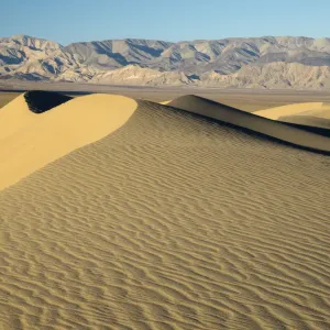 USA, California. Death Valley National Park, Mesquite Flats Sand Dunes