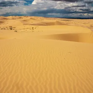 USA, California, Imperial Sand Dunes Recreation Area. Sand dune ripples. ©Cathy & Gordon Illg / Jaynes Gallery / DanitaDelimont.com USA, California, Imperial Sand Dunes Recreation Area. Sand dune ripples. ©Cathy & Gordon Illg / Jaynes Gallery / DanitaDelimont.com