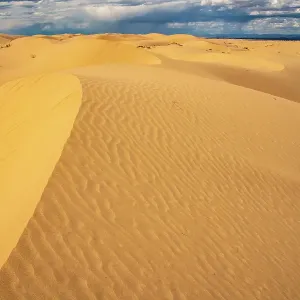 USA, California, Imperial Sand Dunes Recreation Area. Sand dune ripples. ©Cathy & Gordon Illg / Jaynes Gallery / DanitaDelimont.com USA, California, Imperial Sand Dunes Recreation Area. Sand dune ripples. ©Cathy & Gordon Illg / Jaynes Gallery / DanitaDelimont.com