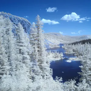 Images Dated 2005 January: 18 Jan 2005