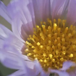 Images Dated 2005 May: 2 May 2005