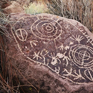 USA, California, Owens Valley. Petroglyphs covering boulder