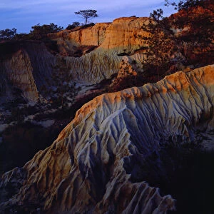 USA; California; San Diego. Sandstone formations at Torrey Pines State Park