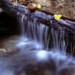 USA, California, Sierra Nevada. A fallen log creates a small waterfall on Barney