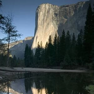 USA, California, Yosemite National Park: El Capitan (El. 7569 Ft. / 2307 M. ) Dawn View