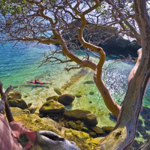 USA, Chuckanut Bay, Chuckanut Island, Puget Sound, Washington. Sea kayaker through