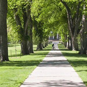 USA, CO, Fort Collins. Students walk in The Oval - a landmark park section in center