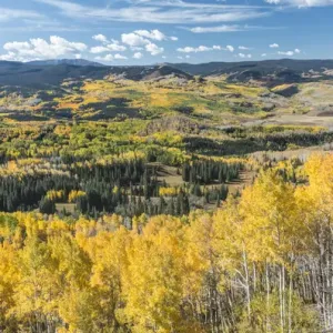 USA, CO, Routt NF, Autuman Color in the Flat Tops Wilderness USA, CO, Routt NF, Autuman Color in the Flat Tops Wilderness