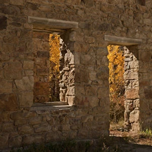 USA, Colorado, Central City. Aspen trees inside abandoned stone building. Credit as