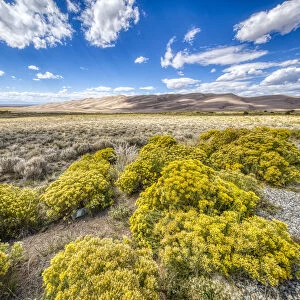 USA, Colorado, Great Sand Dunes National Park and Preserve. Grassy plain landscape