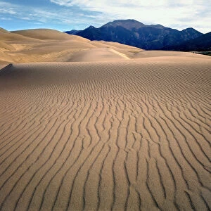 USA, Colorado, Great Sand Dunes NM. Ripples create interesting patterns in the dunes