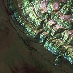 USA, Colorado, Lafayette. Abalone shell close-up
