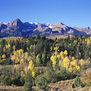 USA, Colorado, Uncompahgne NF, San Juan Mountains with Autumn Color