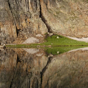USA, Colorado, Uncompahgre National Forest. Cliff face reflected in Bullion King Lake