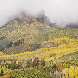 USA, Colorado, Uncompahgre National Forest. Cloud and autumn-colored forest