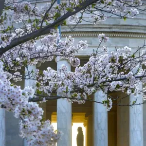 USA, Distretto di Columbia, Washington, Statua di Thomas Jefferson nel Jefferson.