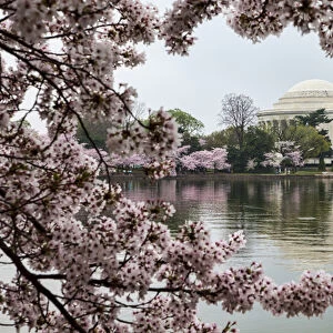 USA Jigsaw Puzzle Collection: District of Columbia