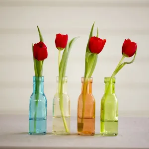 Celebration Tulips Print - USA, Florida Celebration Tulips Print - USA, Florida