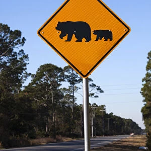 USA, Florida, Florida Panhandle, Carrabelle, bear crossing sign, Rt. 98