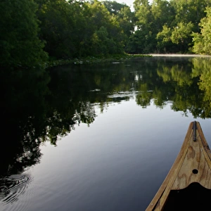 USA, Florida, Ocala National Forest, Alexander Springs Recreational Area, Canoeing