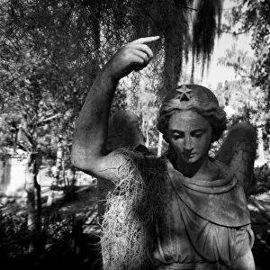 USA, Georgia, Savannah, Graveyard statue and trees draped in Spanish Moss inside