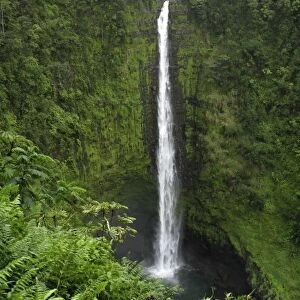 USA, Hawaii, Hilo. View if Akaka Falls