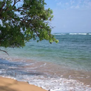 USA, Hawaii, Kauai, beach scenic. (RF)