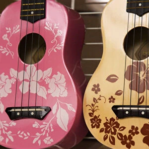 USA, Hawaii, Kona. Two painted ukuleles on display in shop. Credit as: Wendy Kaveney