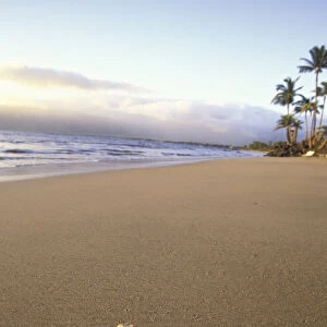 USA, Hawaii, Maui, Kihei Beach Shell on beach, evening light