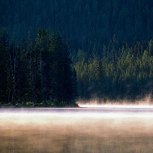USA, Idaho, Sawtooth National Recreation Area, Early morning mist rising from Stanley