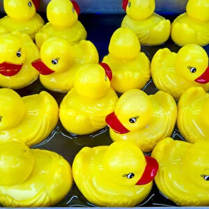 USA, Indiana, Indianapolis. Yellow plastic ducks
