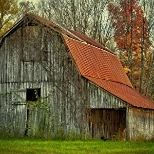 USA, Indiana. rural landscape, vine-covered barn with red roof