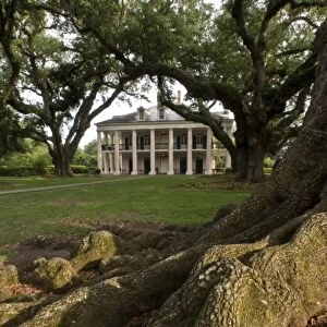 USA, Louisiana, St. James Parish, Vacherie. Oak Alley Plantation house seen beyond