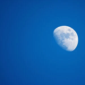 USA, Maine, Acadia National Park, Gibbous moon at dusk in clear blue sky