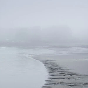 USA, Maine, Cape Neddick, harbor in fog