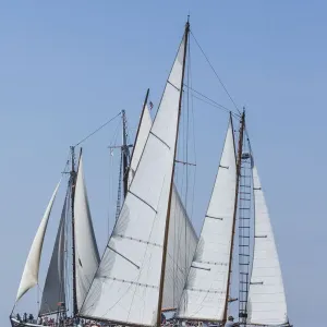 USA, Massachusetts, Cape Ann, Gloucester. Gloucester Schooner Festival USA, Massachusetts, Cape Ann, Gloucester. Gloucester Schooner Festival