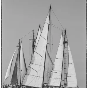 USA, Massachusetts, Cape Ann, Gloucester. Gloucester Schooner Festival USA, Massachusetts, Cape Ann, Gloucester. Gloucester Schooner Festival