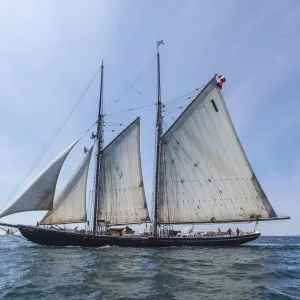 USA, Massachusetts, Cape Ann, Gloucester. Gloucester Schooner Festival USA, Massachusetts, Cape Ann, Gloucester. Gloucester Schooner Festival