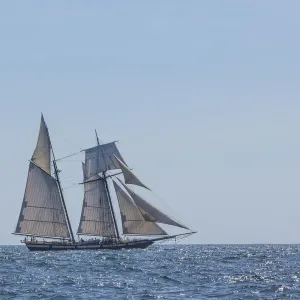 USA, Massachusetts, Cape Ann, Gloucester. Gloucester Schooner Festival USA, Massachusetts, Cape Ann, Gloucester. Gloucester Schooner Festival