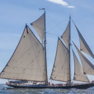USA, Massachusetts, Cape Ann, Gloucester. Gloucester Schooner Festival USA, Massachusetts, Cape Ann, Gloucester. Gloucester Schooner Festival
