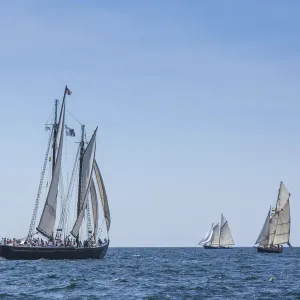 USA, Massachusetts, Cape Ann, Gloucester. Gloucester Schooner Festival USA, Massachusetts, Cape Ann, Gloucester. Gloucester Schooner Festival