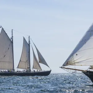 USA, Massachusetts, Cape Ann, Gloucester. Gloucester Schooner Festival USA, Massachusetts, Cape Ann, Gloucester. Gloucester Schooner Festival