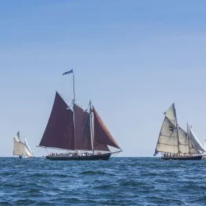 USA, Massachusetts, Cape Ann, Gloucester. Gloucester Schooner Festival USA, Massachusetts, Cape Ann, Gloucester. Gloucester Schooner Festival