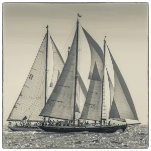 USA, Massachusetts, Cape Ann, Gloucester. Gloucester Schooner Festival USA, Massachusetts, Cape Ann, Gloucester. Gloucester Schooner Festival
